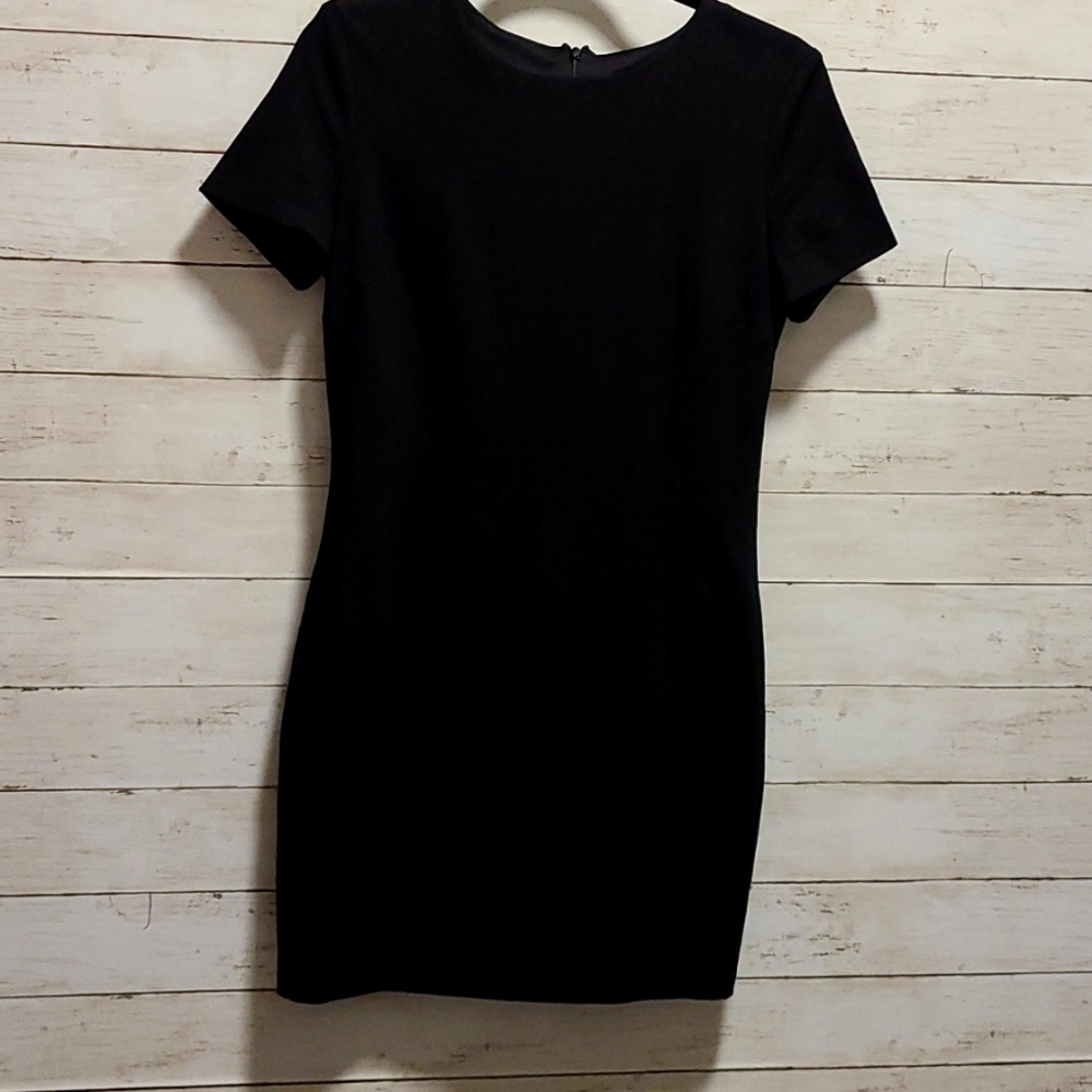 Little Black Dress- sleeve and zipper, above knee